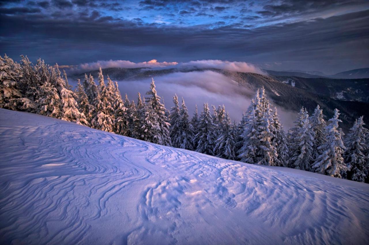 Pohorje Village Wellbeing Resort - Forest Apartments Videc Hocko Pohorje Luaran gambar