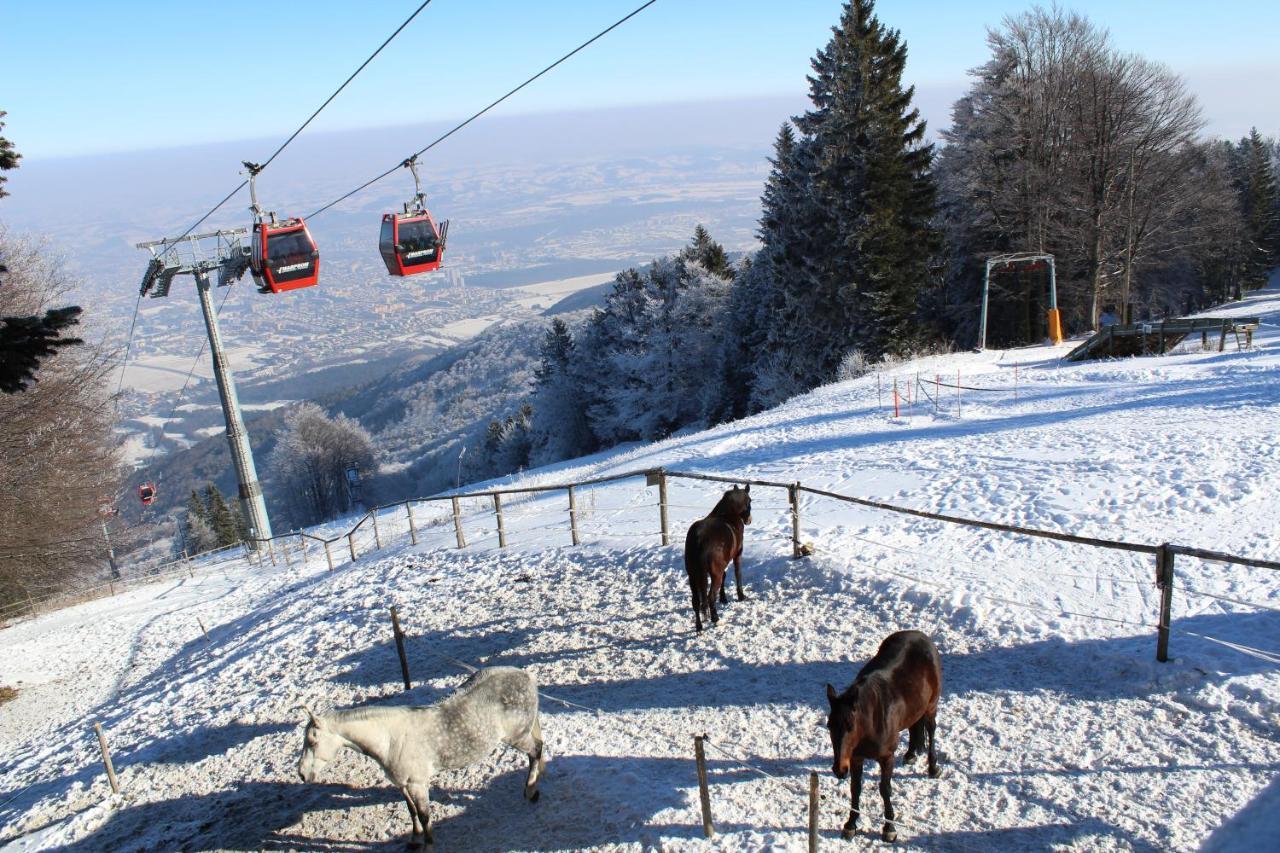 Pohorje Village Wellbeing Resort - Forest Apartments Videc Hocko Pohorje Luaran gambar