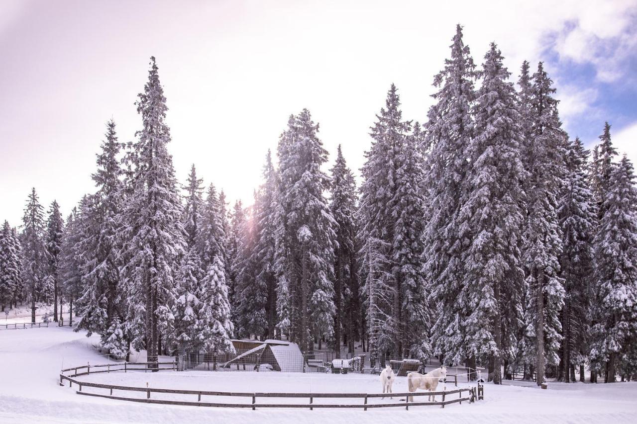 Pohorje Village Wellbeing Resort - Forest Apartments Videc Hocko Pohorje Luaran gambar