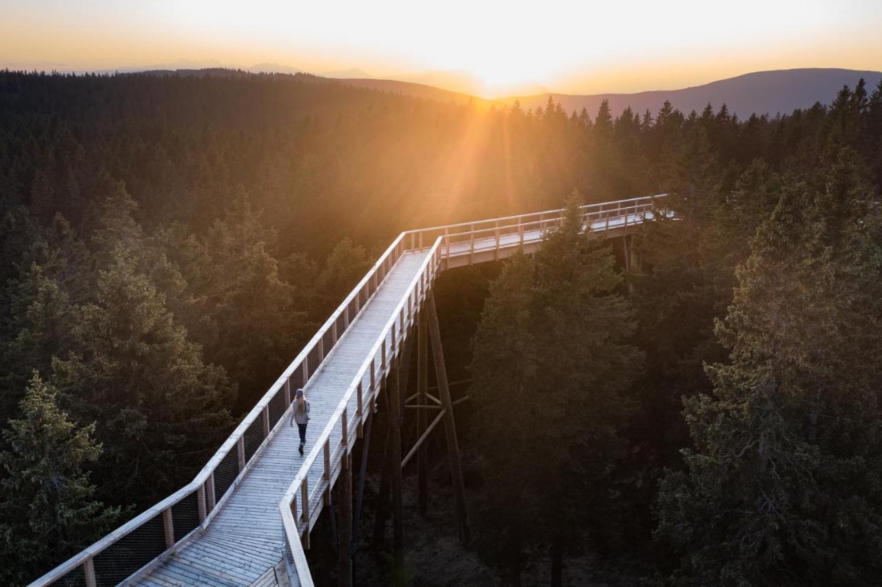 Pohorje Village Wellbeing Resort - Forest Apartments Videc Hocko Pohorje Luaran gambar