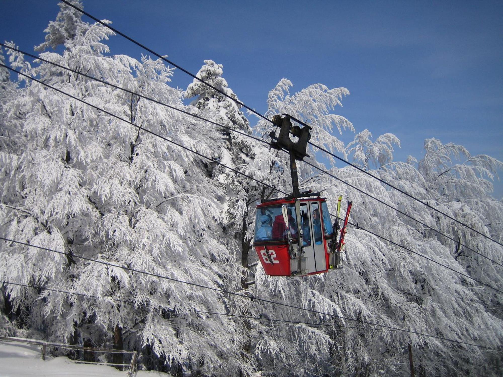Pohorje Village Wellbeing Resort - Forest Apartments Videc Hocko Pohorje Luaran gambar